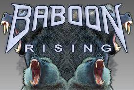 logo Baboon Rising
